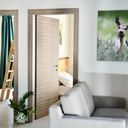 Verdi باردونيكيا